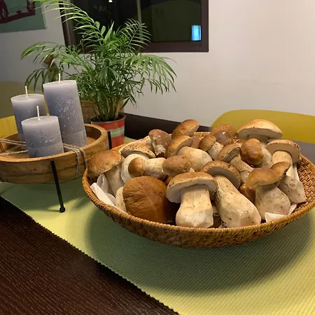 House Kuca S 4 Spavace Sobe بيت للعطل