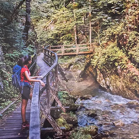 House Kuca S 4 Spavace Sobe Vikendica Stara Susica