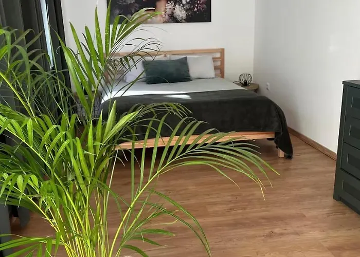 House Kuca S 4 Spavace Sobe בית נופש Stara Susica