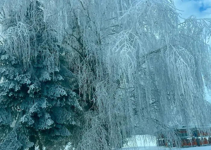 House Kuca S 4 Spavace Sobe בית נופש Stara Susica